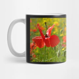 Poppies Mug